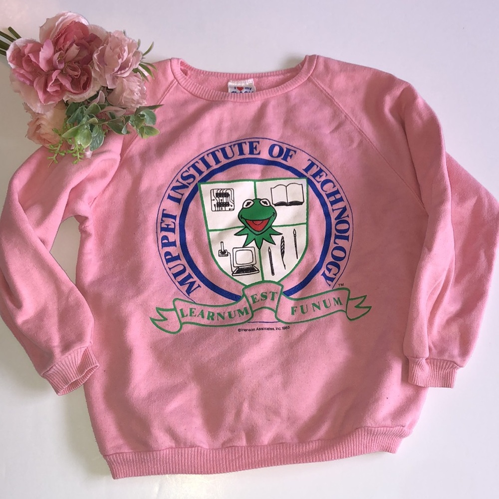 MUPPETS SWEATSHIRT Muppet Institute of Technology Kermit Pink Girls Large
